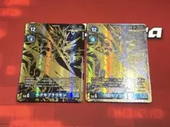 2026年最新】ヘクセブラウモンの人気アイテム - メルカリ