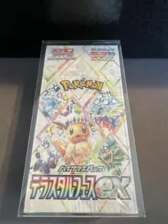 2026年最新】シュリンク テラスタルフェスの人気アイテム - メルカリ