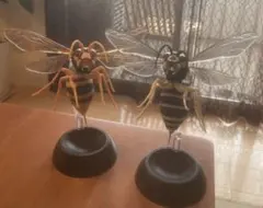 2026年最新】スズメバチの人気アイテム - メルカリ