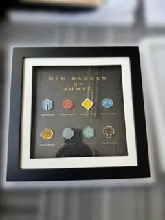 2026年最新】ジムバッジコレクションコンプリートセットの人気アイテム