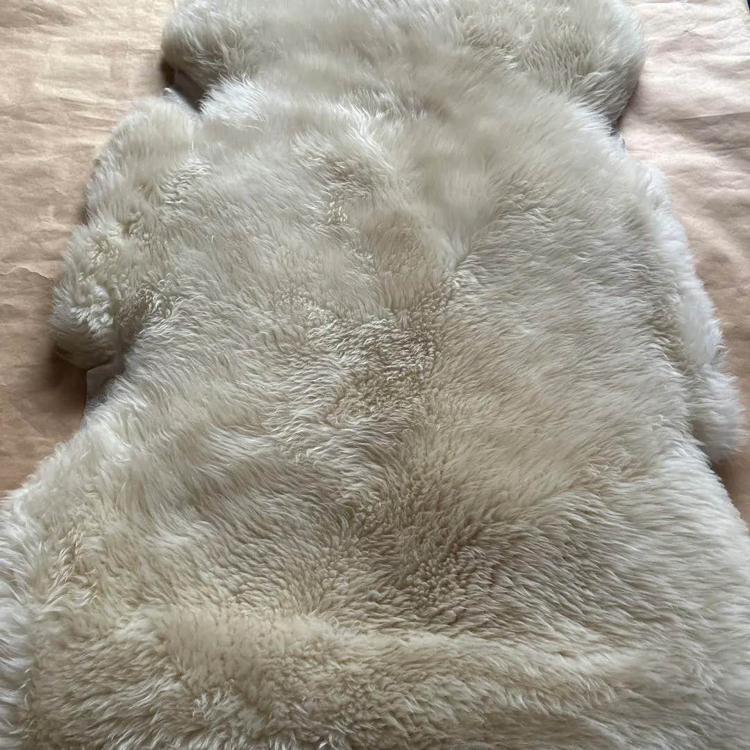 2026年最新】奥田 ムートンの人気アイテム - メルカリ