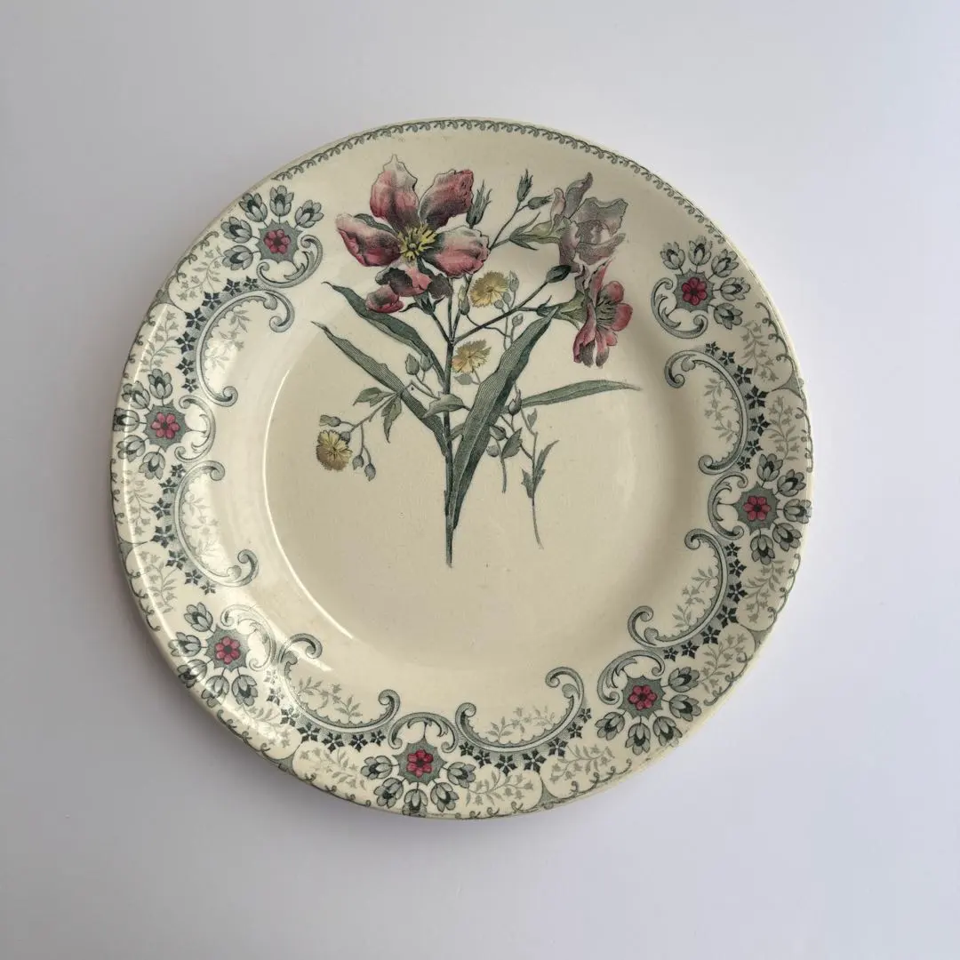 2026年最新】ショワジールロワ 切り花の人気アイテム - メルカリ