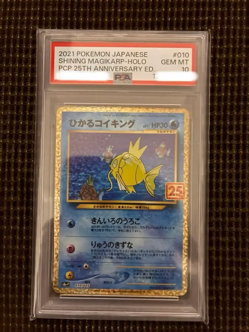 m48953587000_1.jpg?1771166795