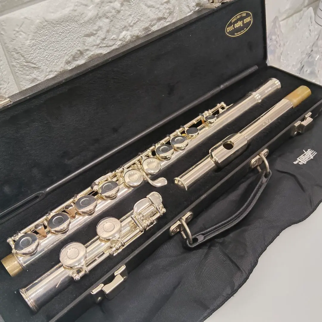 2026年最新】ゲマインハート フルートの人気アイテム - メルカリ