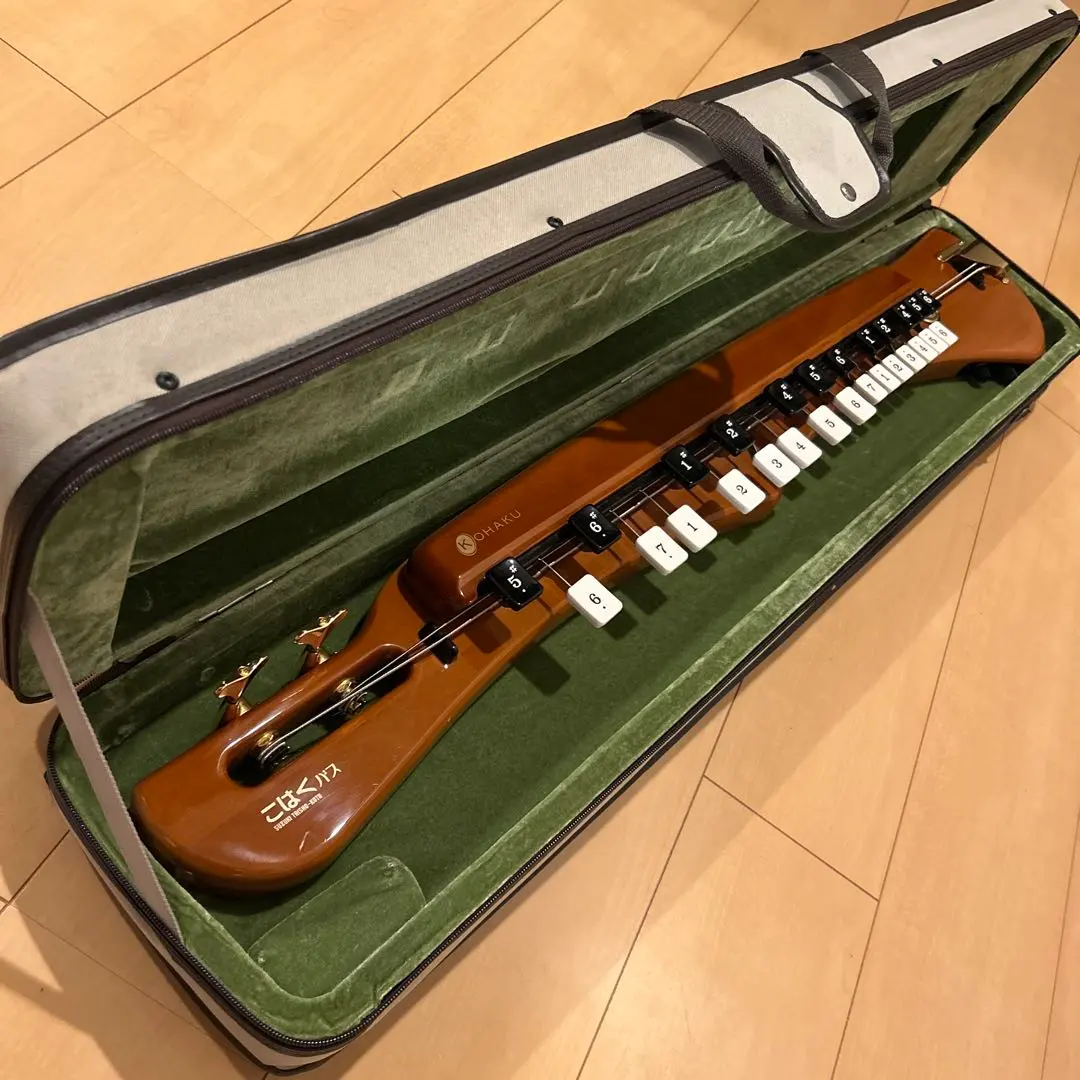 2026年最新】大正琴こはくの人気アイテム - メルカリ