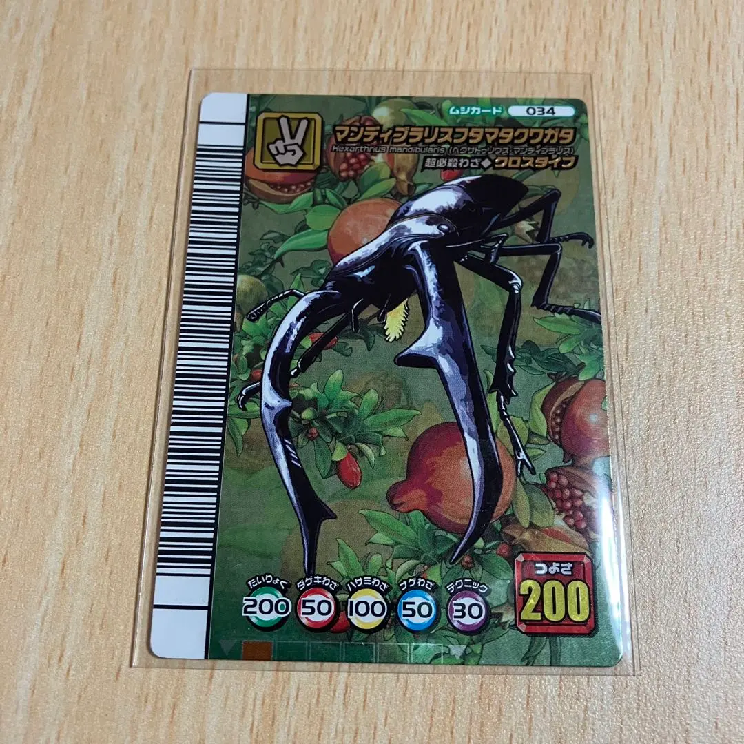 2026年最新】マンディブラリスフタマタクワガタ5周年の人気アイテム