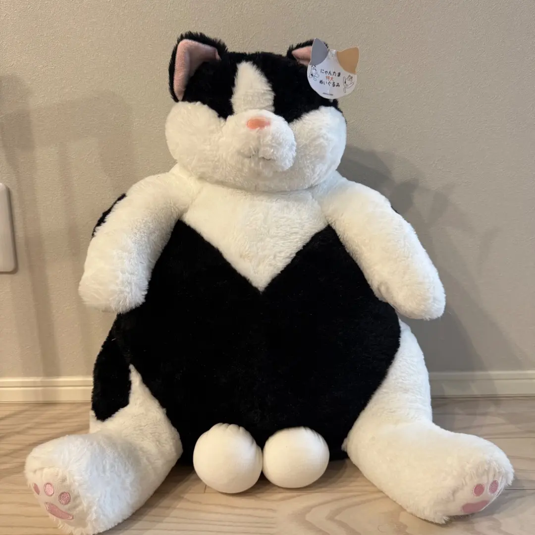 2026年最新】にゃんたまぬいぐるみの人気アイテム - メルカリ