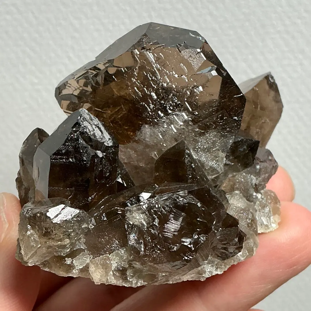 2026年最新】グインデルの人気アイテム - メルカリ