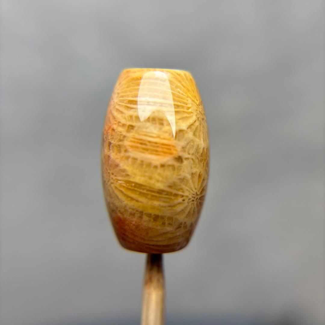 あずきちゃんフォッシルコーラル　天珠　1-324