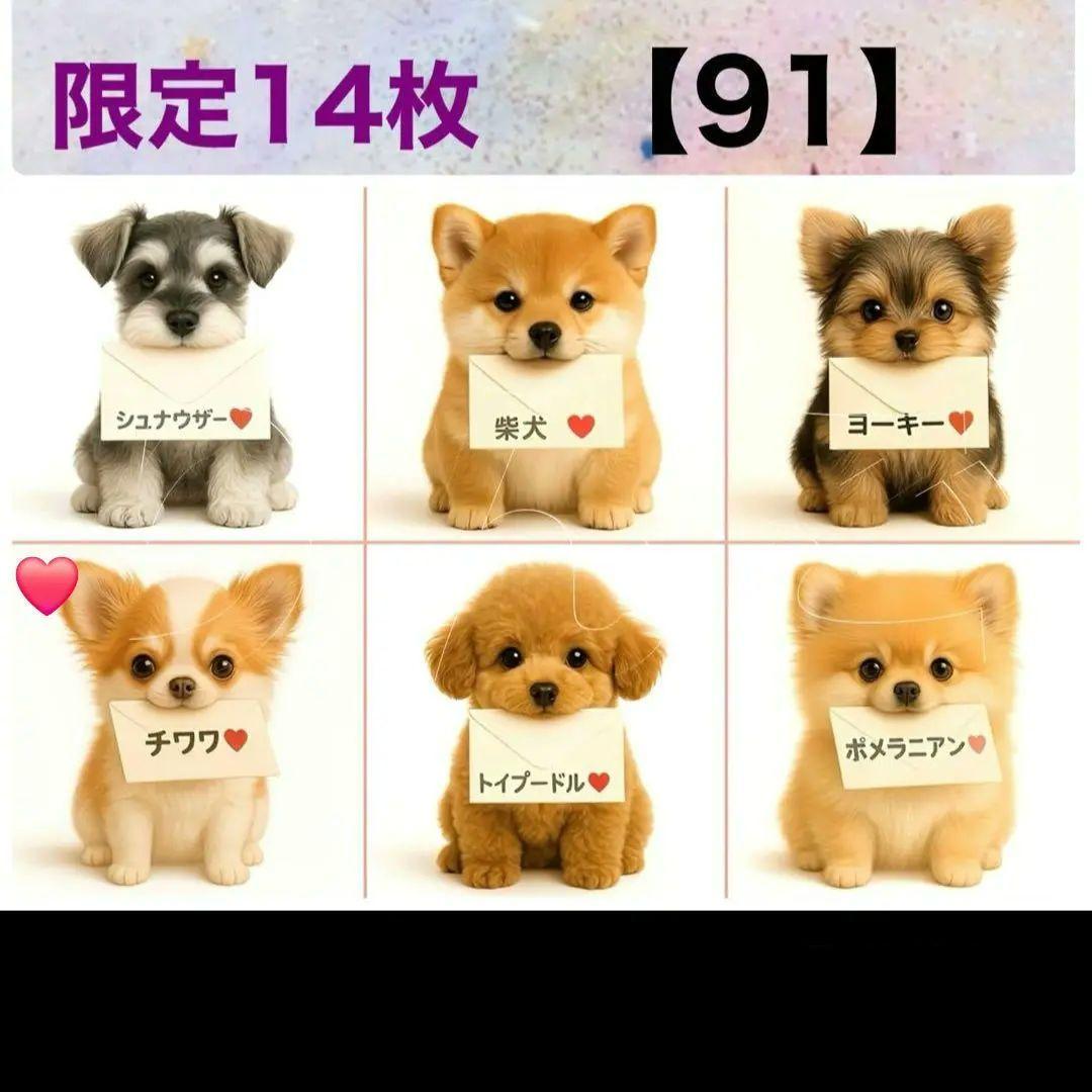 ななちゃん様確認用⑤