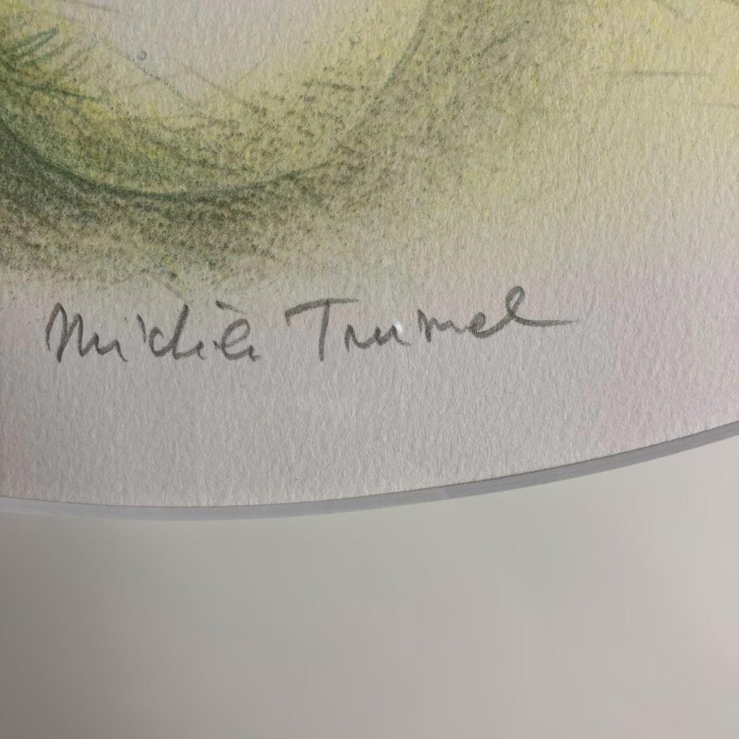 リトグラフ版画 ミシェル•トゥルメル「パンジーのために」 - メルカリ