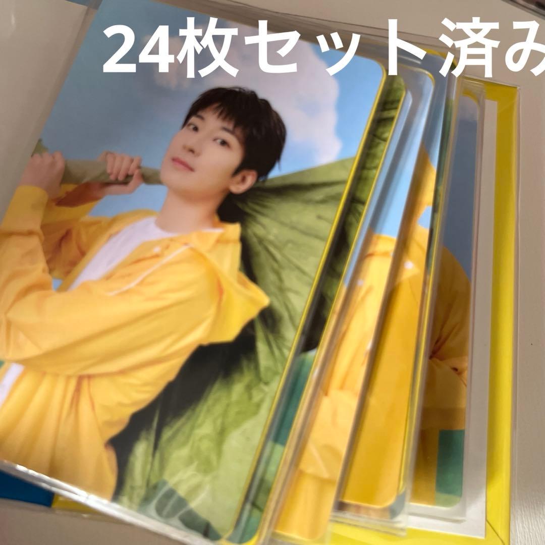 セブチ ウォヌ Carat盤 3種類 - メルカリ