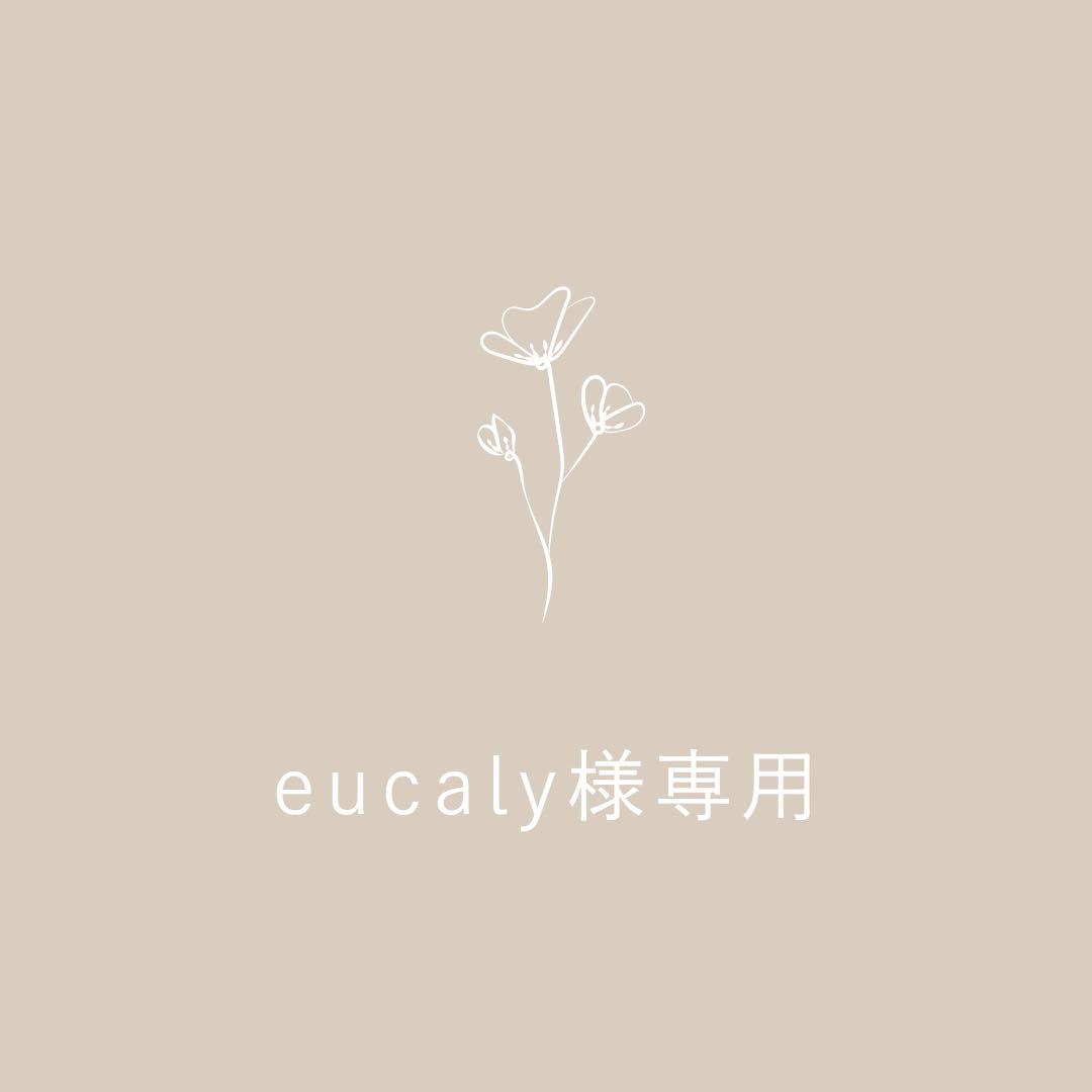 eucaly様オーダー専用ページ Questar III - Email Signature Generator – Questar III BOCES IT