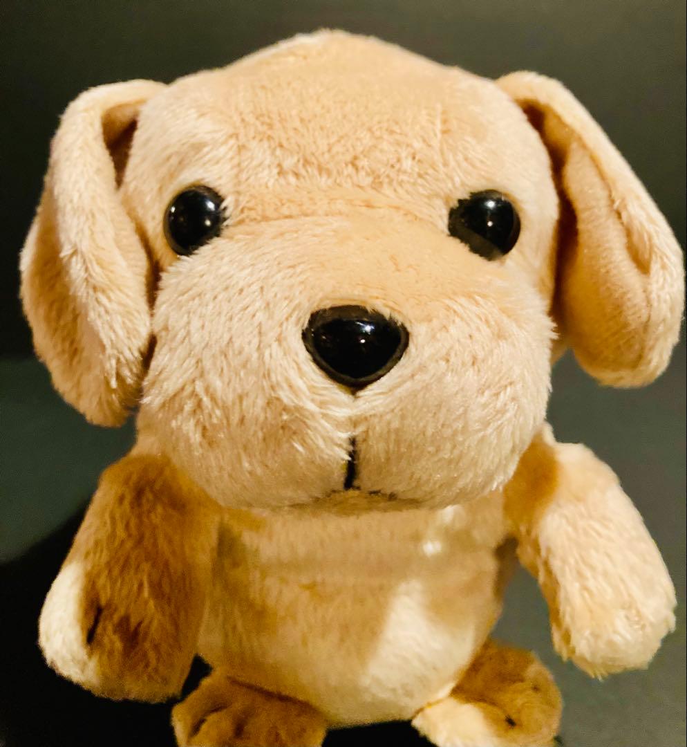 こえマネわんちゃん ぬいぐるみ 声 動 寺子屋 バナナサンド バナナマン