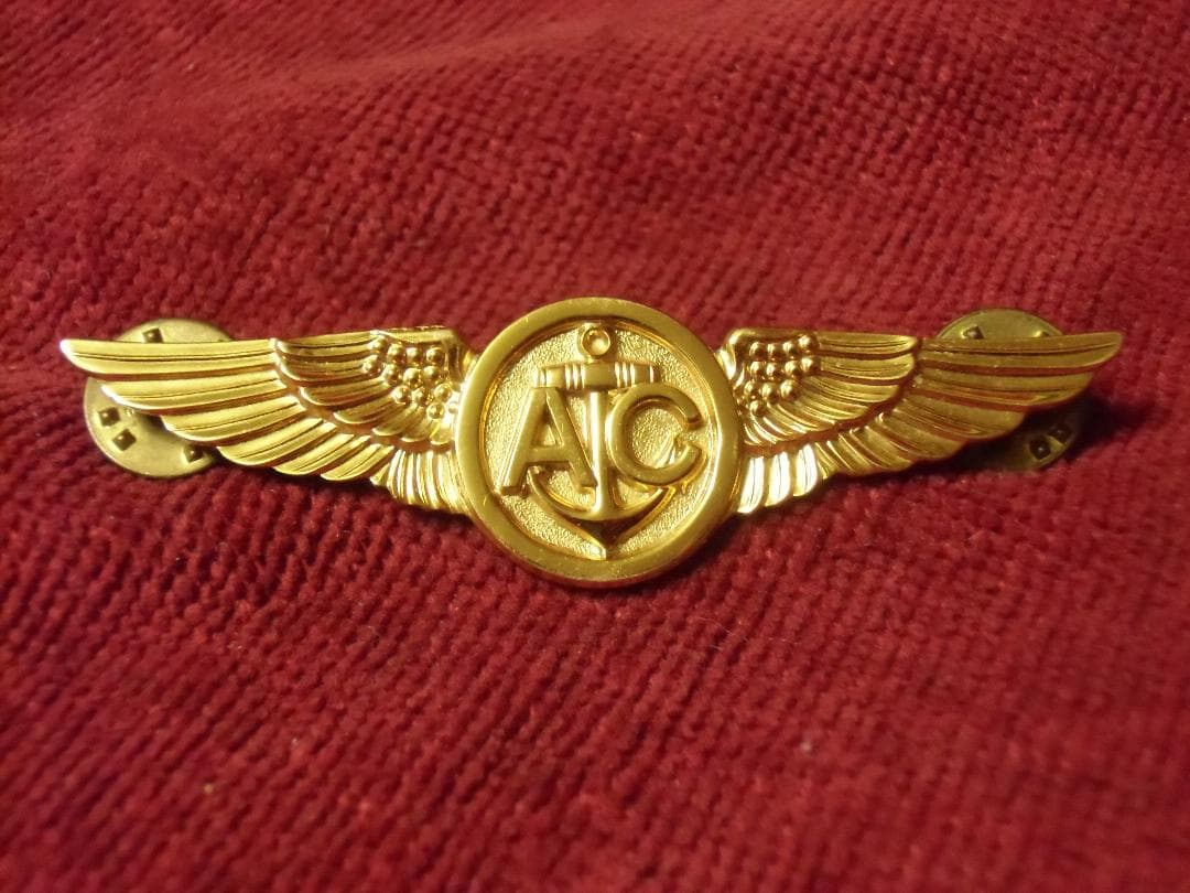 ★１９５０年代＊アメリカ軍＊海軍/海兵隊/沿岸警備隊＊エアクルーウィング章/実物 P-51D 