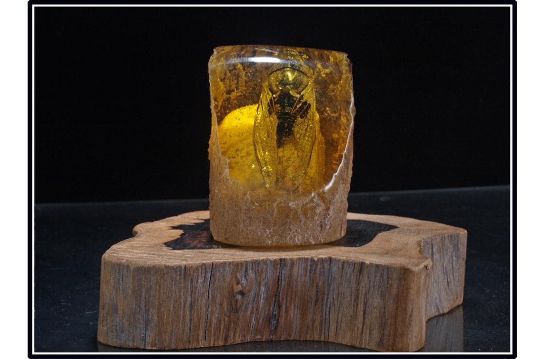 中国時代の化石 天然琥珀サソリ骨董品 古美術 DE1656D4-2