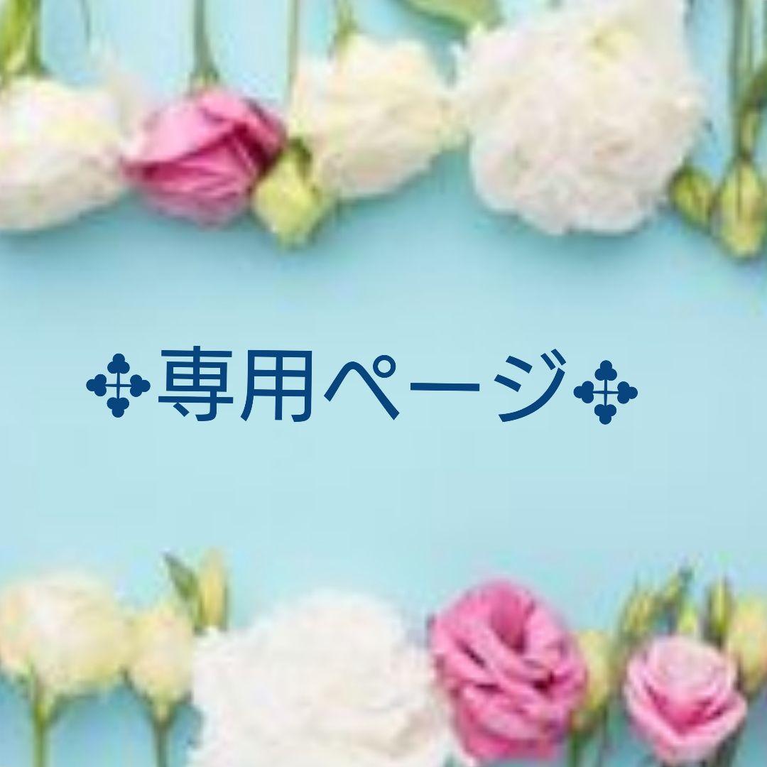 ✥カイラニページ✥no.560•no.561オパールリング カイルア観光ツアー 電動自転車で全米No.1のラニカイビーチなどを巡る