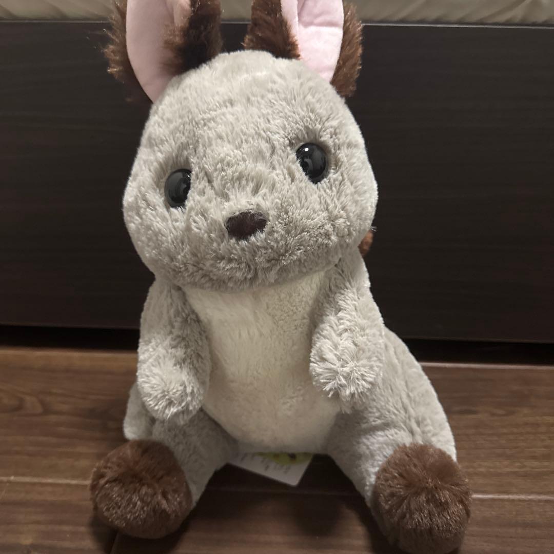 くったり エゾリス - メルカリ