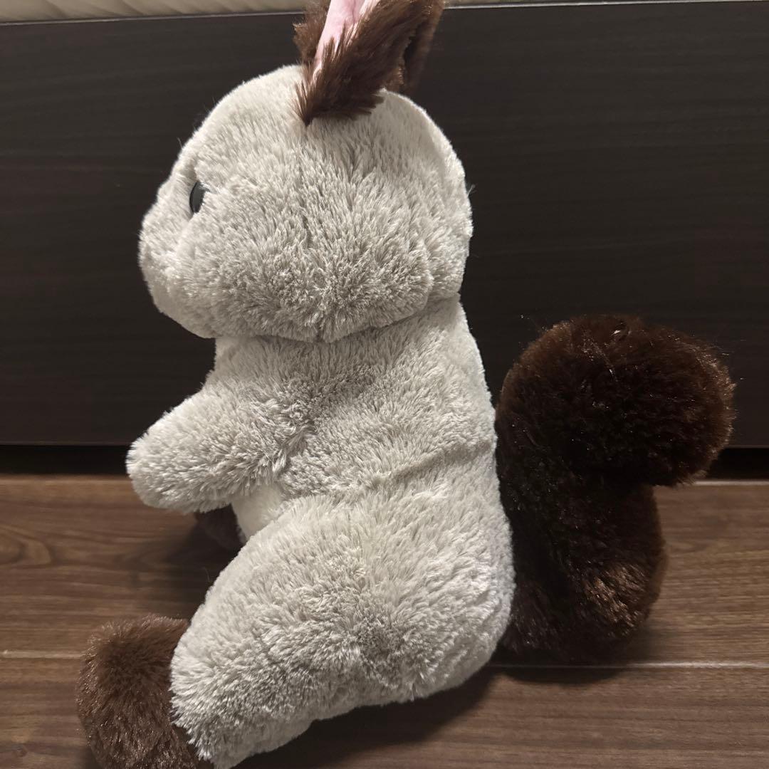 くったり エゾリス - メルカリ