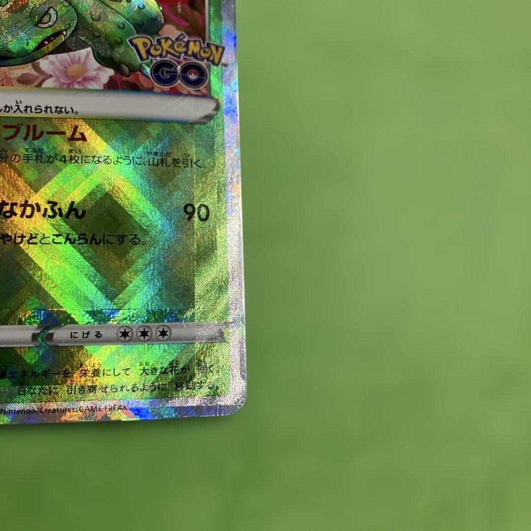 かがやくフシギバナ　加工ズレ　エラー　大ズレ　魂抜け