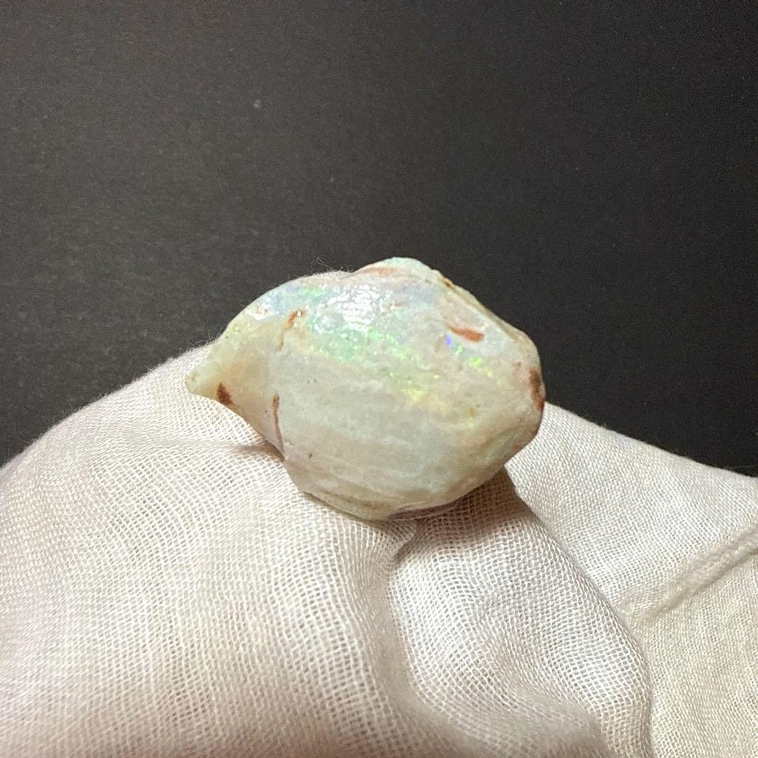 シェルオパール 貝オパール オパール化貝化石 オパライズドシェル