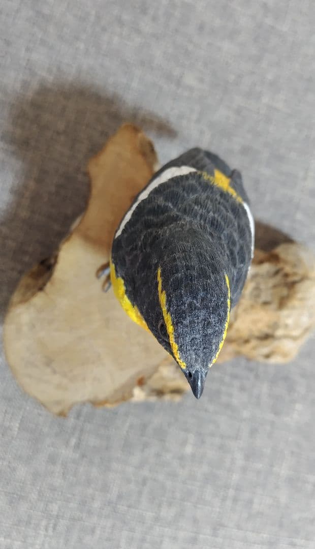 バードカービング　\"キビタキ”