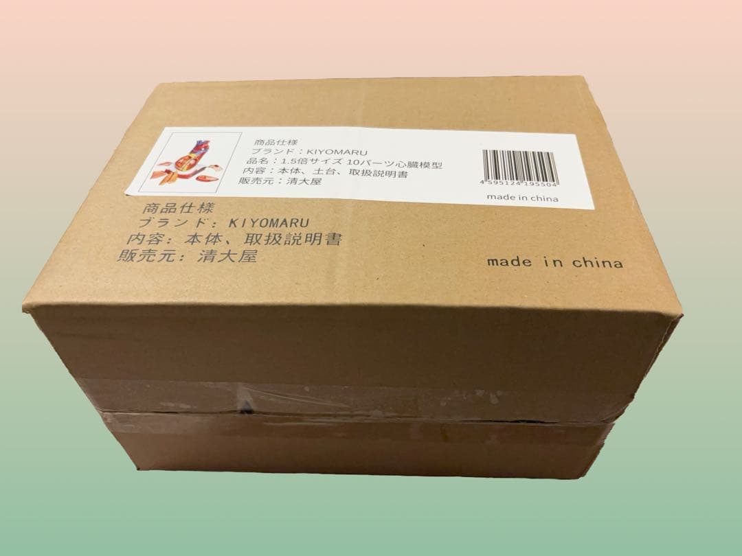 KIYOMARU 心臓模型 1.5倍大 10分解 教育用 新品 - メルカリ