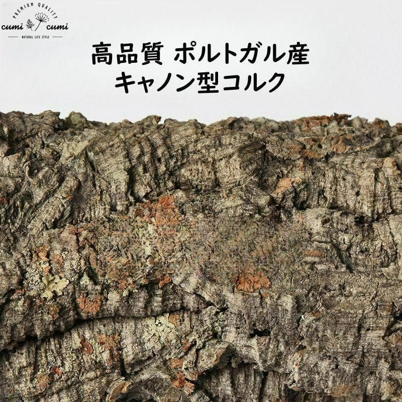 W604 ポルトガル産 キャノンコルク コルク樹皮 コルク板 バージン