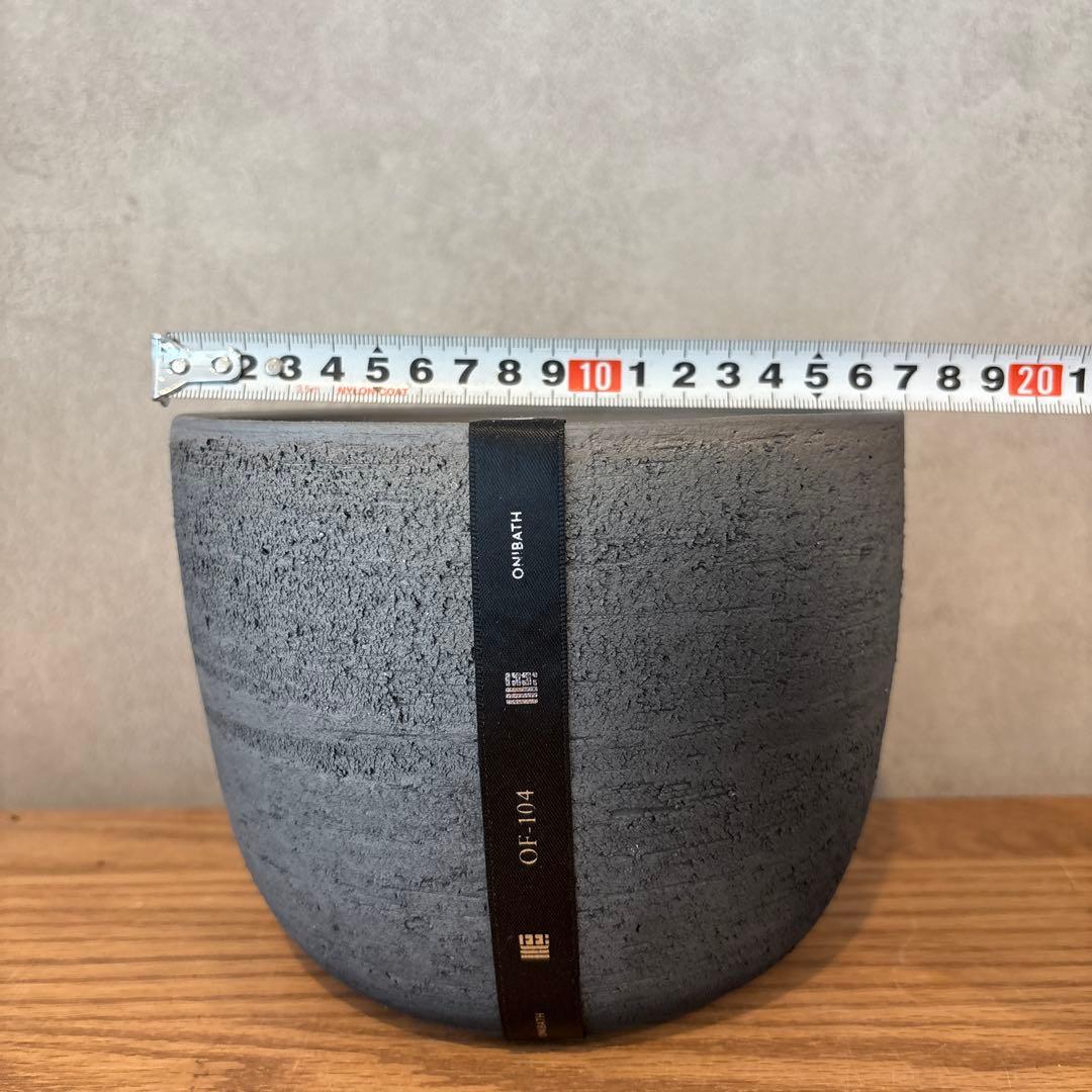 【ムチムチ極太塊根】パキプス｜新芽展開・発根済・6号鉢　みやび鉢