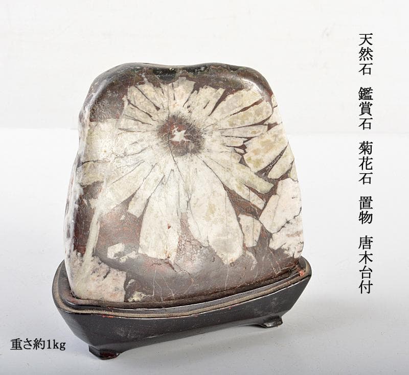 天然石　鑑賞石　菊花石　置物　重さ約1kg　唐木台付　古玩　V　R6655 天然石 鑑賞石 置物 重さ約1.5kg 唐木台付 V R6348の通販 by