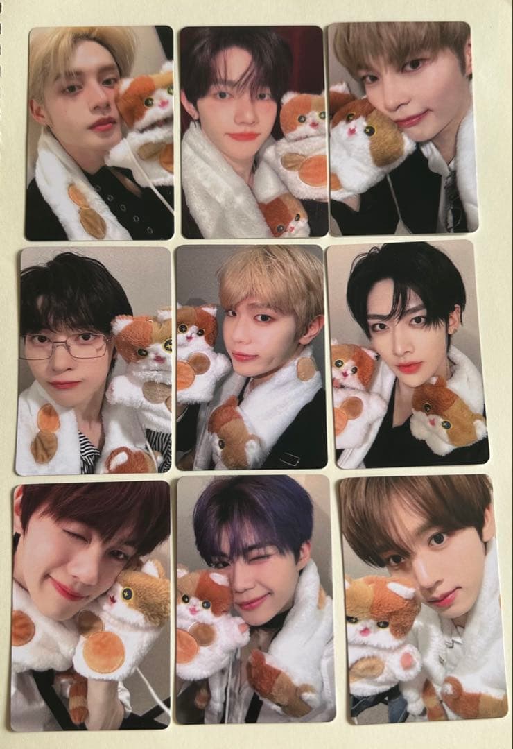 zb1 yizhiyu 一直娱 ねこ特典 トレカ 9枚セット 全員 - メルカリ