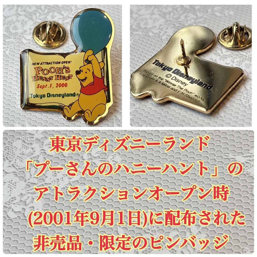 レアあり】ディズニーランド・ディズニーストア・ピンバッジ21点セット