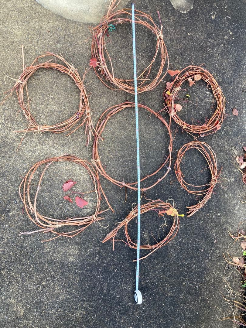 ヤマブドウの蔓　1.4kg 40〜200cm