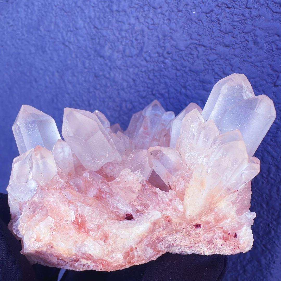 爆アレ❗️可愛いピンク♡超綺麗マダガスカル産パイナップルピンククラスターA1474