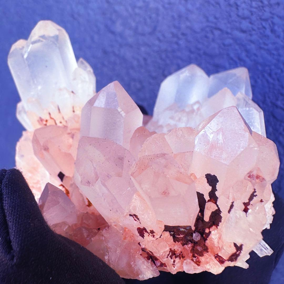 爆アレ❗️可愛いピンク♡超綺麗マダガスカル産パイナップルピンククラスターA1474