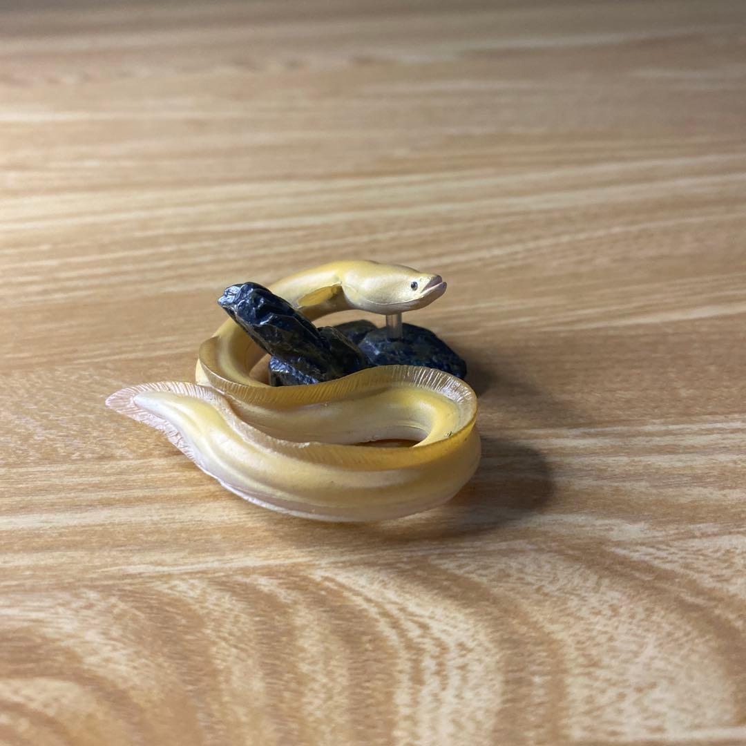 中古】YUJIN 原色淡水魚図鑑 イワナ ウナギ 大正三色 - メルカリ