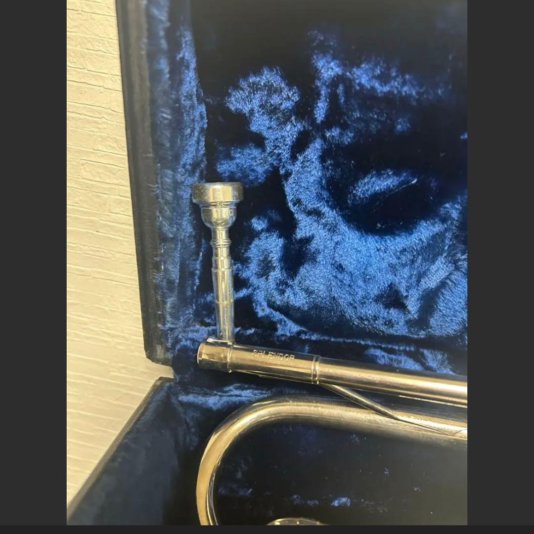 シルバー トランペット 台湾 現ジュピター スプレンダー 常識の範囲内