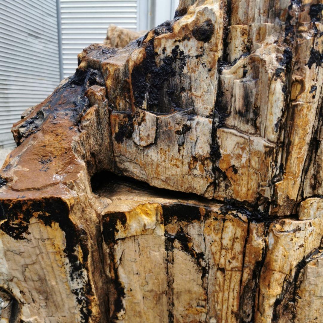 秋田産 珪化木 349キロ 木化石 庭石 石 鑑賞石 置物 オブジェ - メルカリ