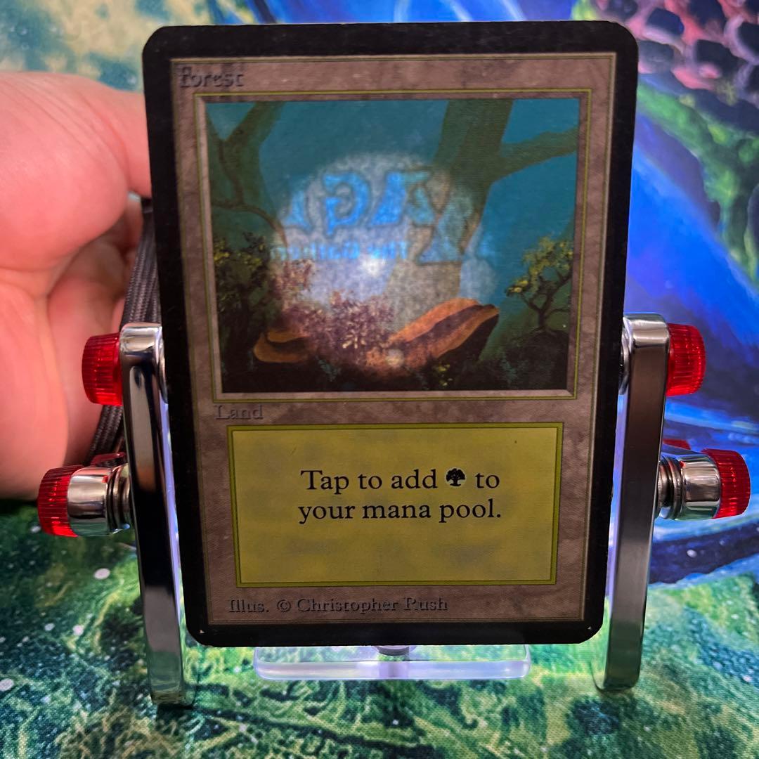 956 《森/Forest》MTG アルファ α [LEA] 基本土地 - メルカリ