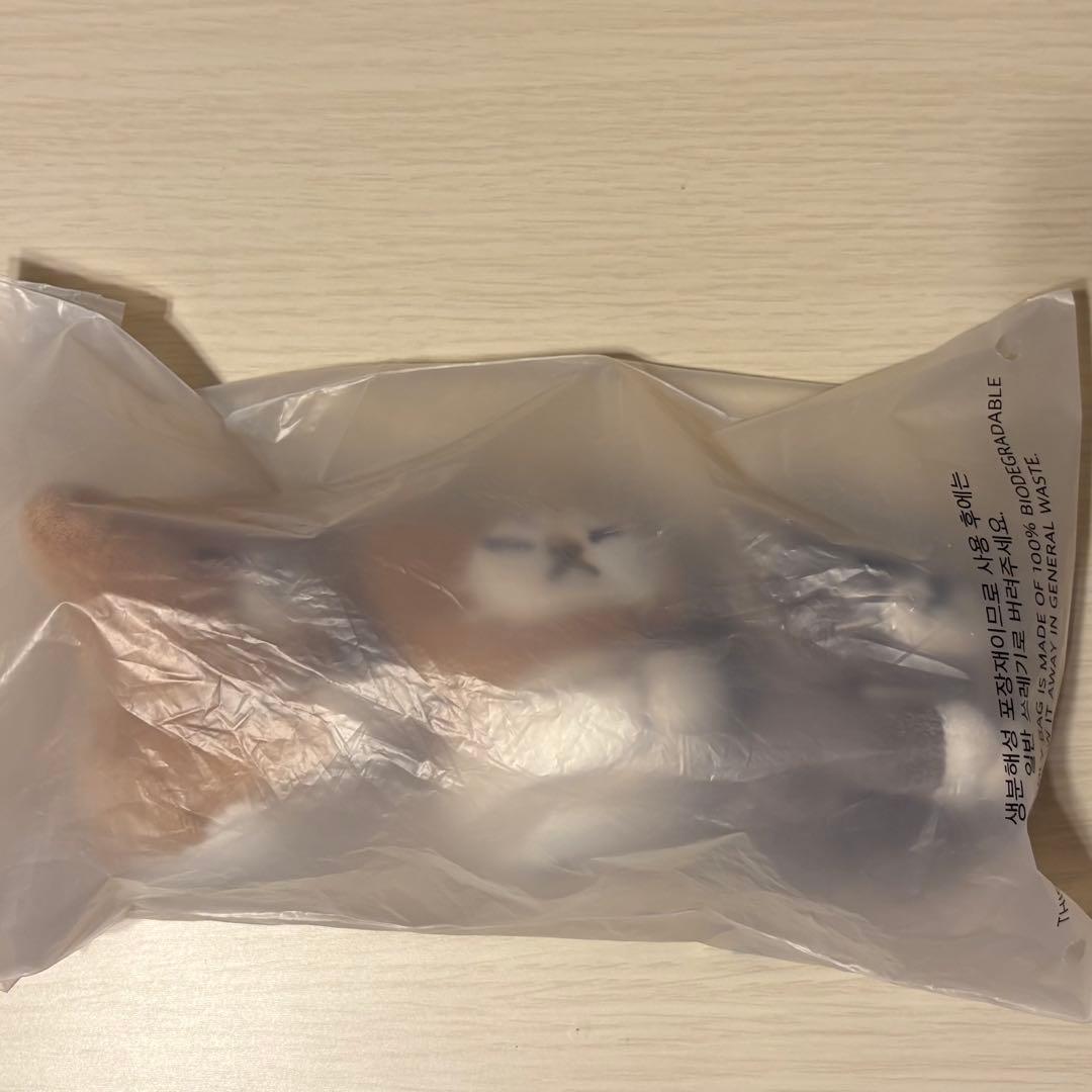 stray kids スキズ メンプロ リノ スンドゥンドリ キーリング straykids スキズ ポップアップ リノ キーリング メンプロ トレカ付