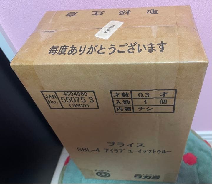 輸送段ボール未開封☆ネオブライス アイラブユーイットトゥルー完全新品未開封