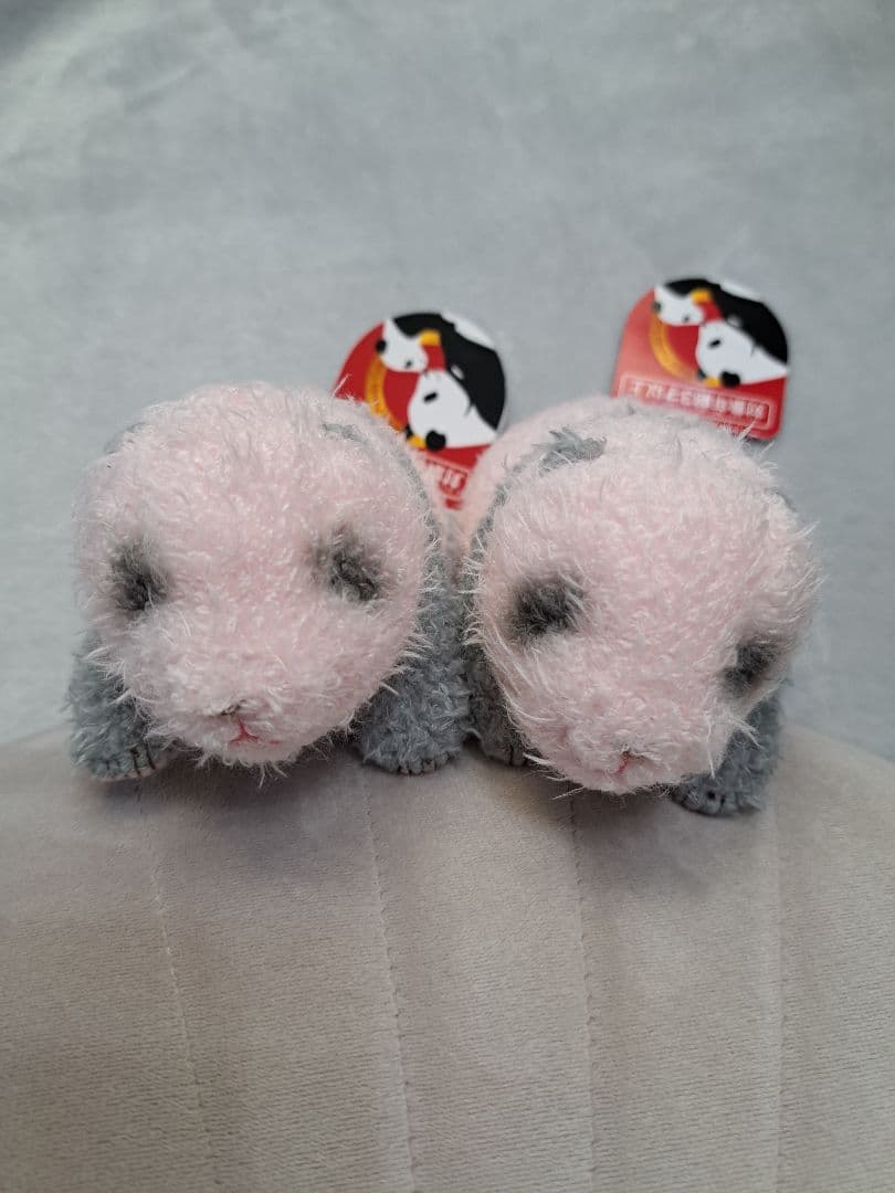 上野動物園 双子パンダ ぬいぐるみ ほんとの大きさパンダの仔 暁暁 蕾