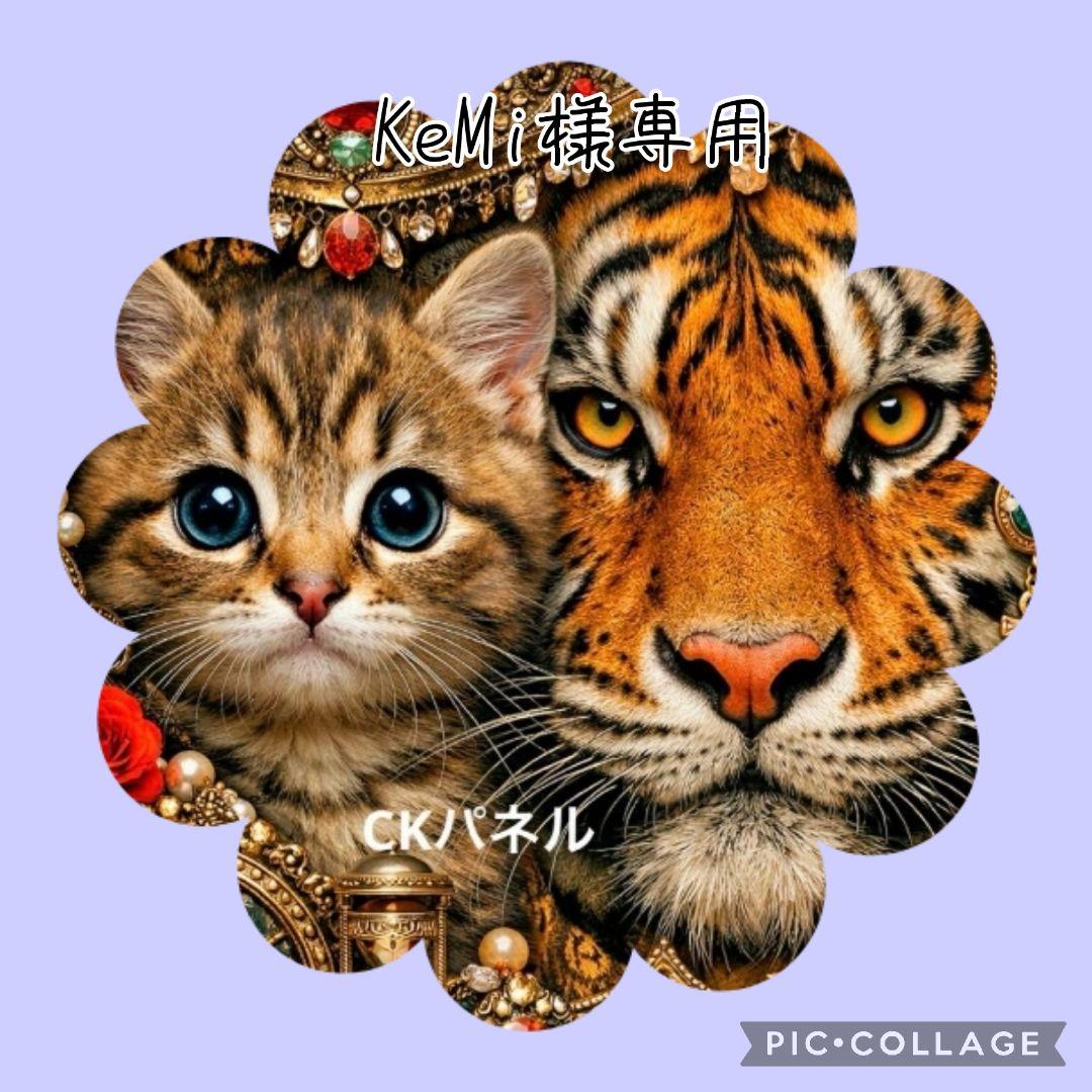 【2月】KeMi 2025 Kawasaki Ninja® ZX™-6R for Sale | Full Throttle Motorsports