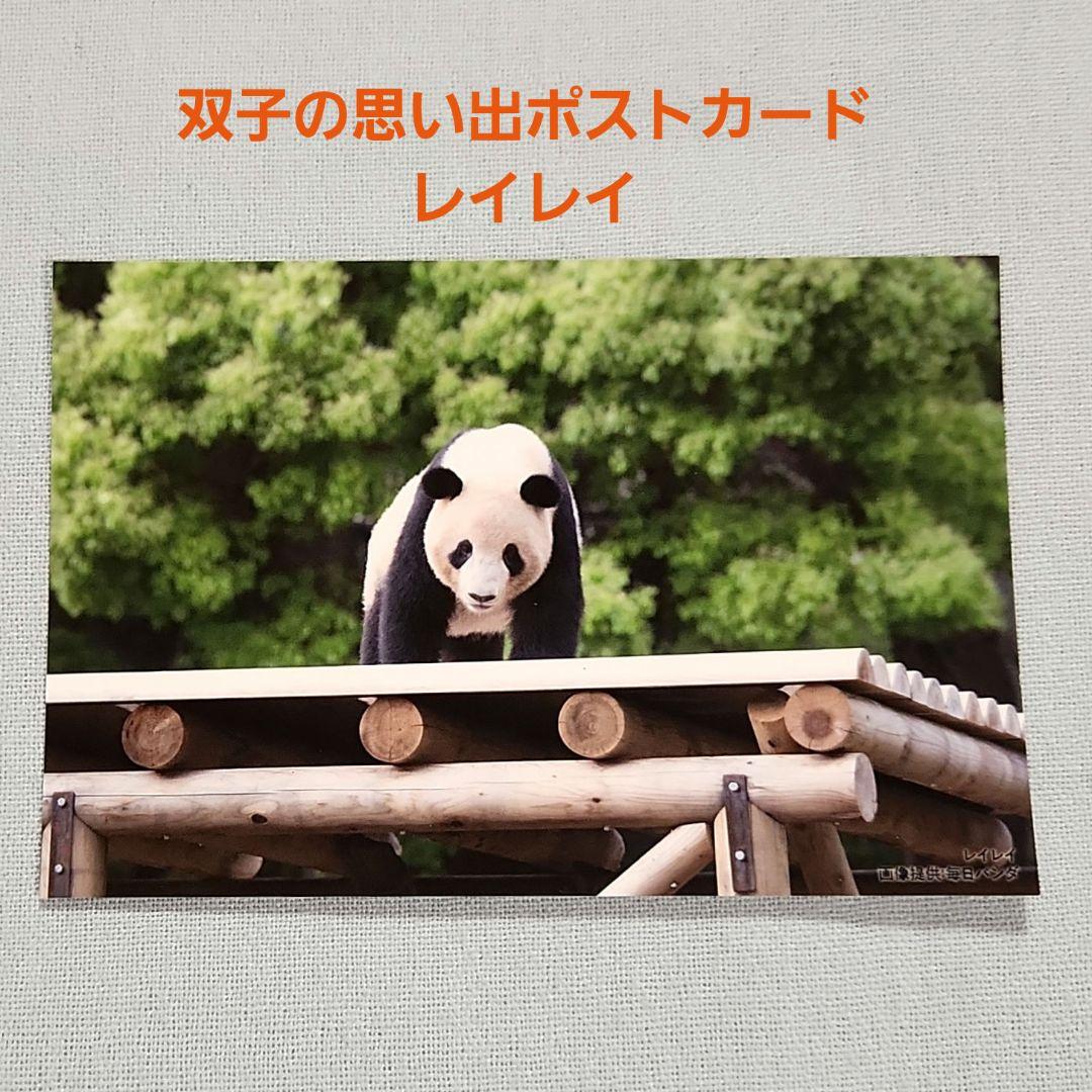 レイレイ ☆ 双子の思い出ポストカード 毎日パンダ 上野松坂屋 上野