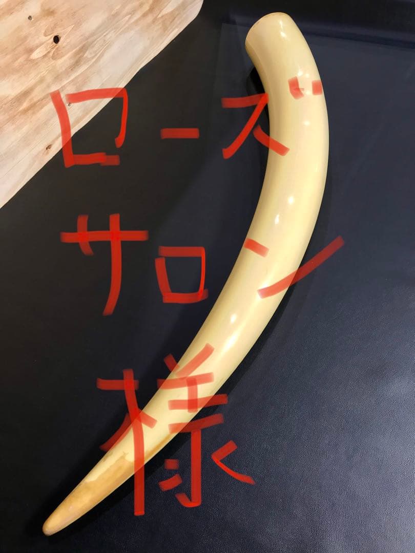 象牙風置物 レプリカ 練り物　オブジェ 一本牙 全長100cm 象牙風置物 レプリカ 練り物 オブジェ 一本牙 全長100cm 象牙風置物