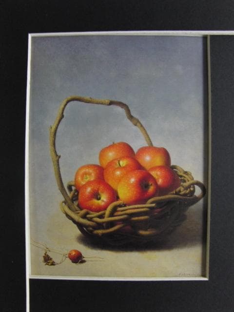 余村展　「烏瓜」、希少画集より、状態良好、新品高級額装付 余村展 「烏瓜」、希少画集より、状態良好、新品高級額装付