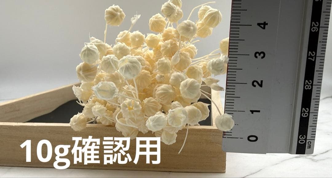 リンフラワー10gサイズ目安確認用 サイズのご案内 ｜ unisize東京シャツ公式通販｜ノーアイロン形態安定