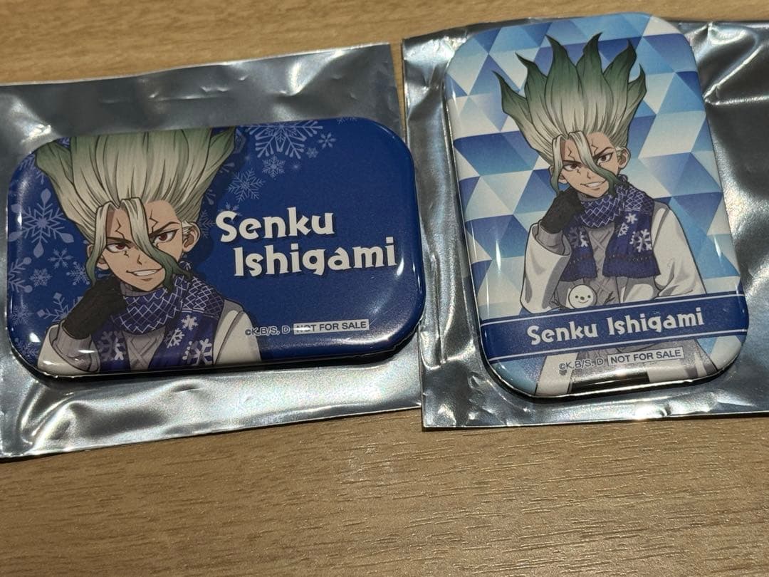 Dr.STONE ドクターストーン 雪まつり 石神千空 特典 縦横 缶バッジ