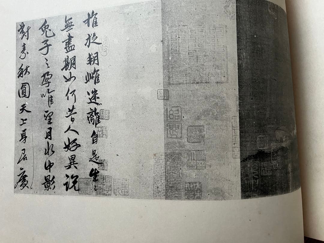 《東洋古名画大鏡》四輯 第一趙雍二曲壹隻三仇英六即世寧稀少