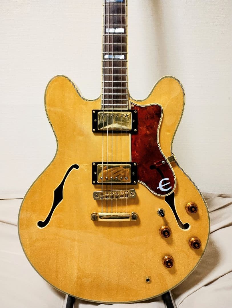 Epiphone ビンテージSheraton/デッドストック品 ハードケース付き 楽天市場】Epiphone エピフォン 純正 SG 専用ハードケース 940-EGCS